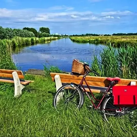 Holiday home True