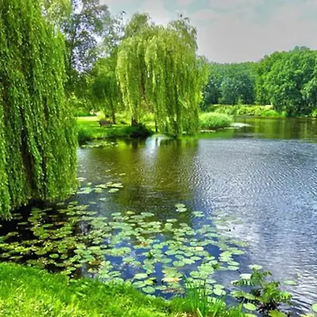 True Bussum
